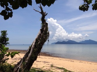 74 Langkawi best beach