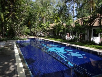 Hotel Thai swimming pool