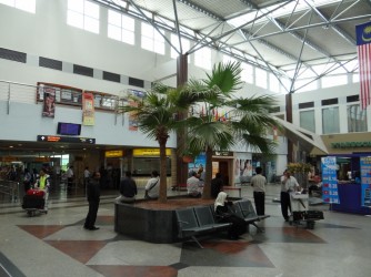 22 Palm tree in airport Langkawi
