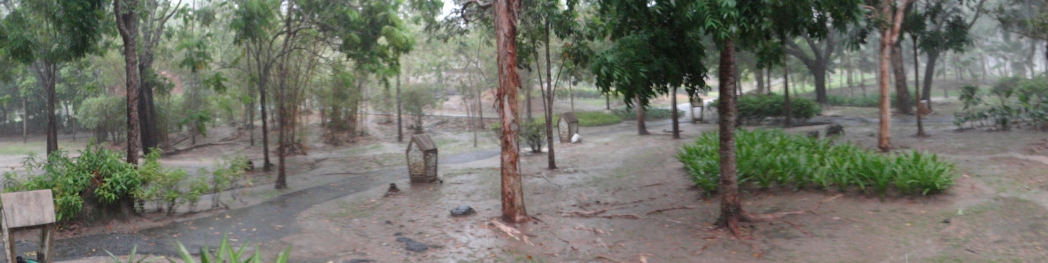 03 Malaysia tropical Rain over cover