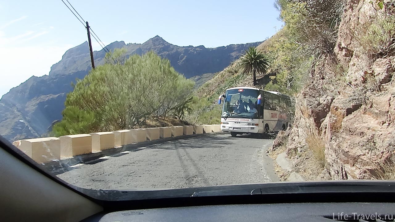 Serpantine Tenerife and Bus